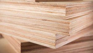 Gỗ Plywood Là Gì? Những Điều Cần Biết Về Gỗ Plywood